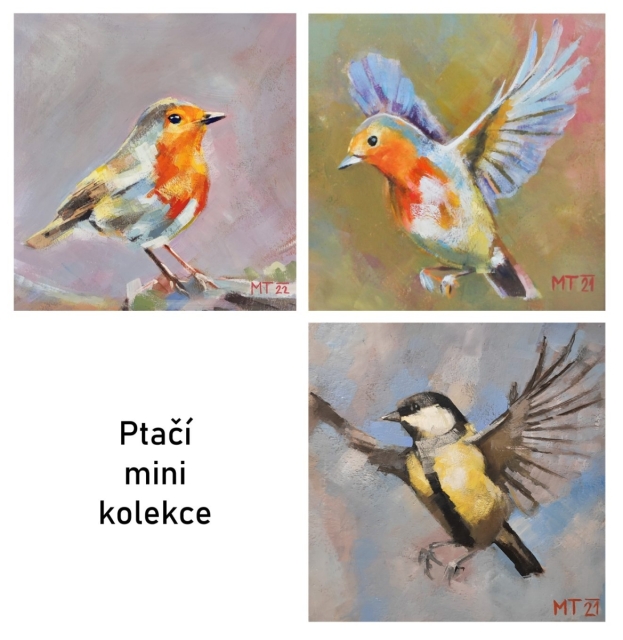 Ptačí mini kolekce